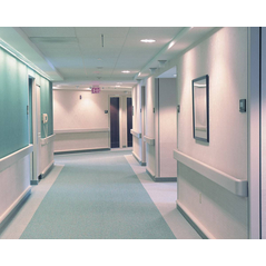 Hospital Handrail 2021