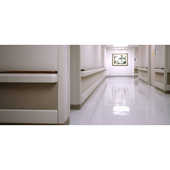 Bumer-Rail-Wallguard-2130-wallguard.com