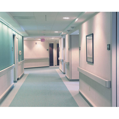 Hospital Handrail 2021