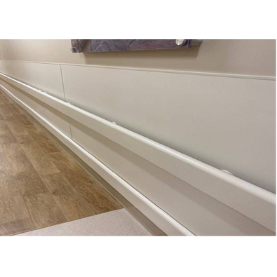 Hospital Handrail 2021